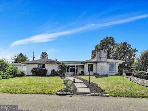 Willow, POTTSVILLE, PA 17901