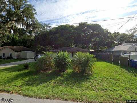 Orchis, SAINT AUGUSTINE, FL 32086