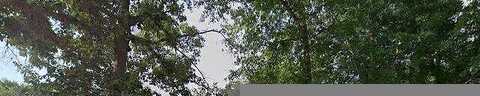 Woods, PERRY, GA 31069