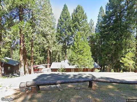 Robin, PIONEER, CA 95666