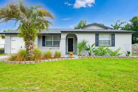 Bishop, SPRING HILL, FL 34608