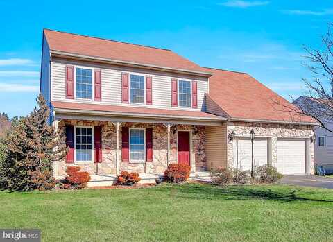 Brendan, MOUNT WOLF, PA 17347