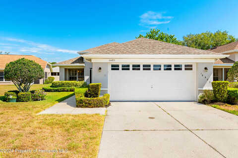 Tamarind, SPRING HILL, FL 34609