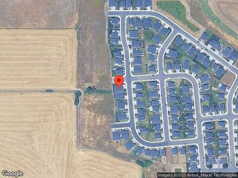 Gladiola, JUNCTION CITY, OR 97448