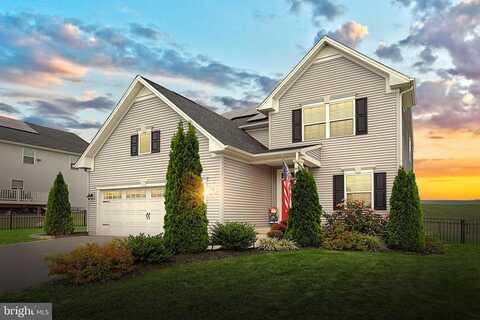 Lady Harrington, YORK, PA 17402