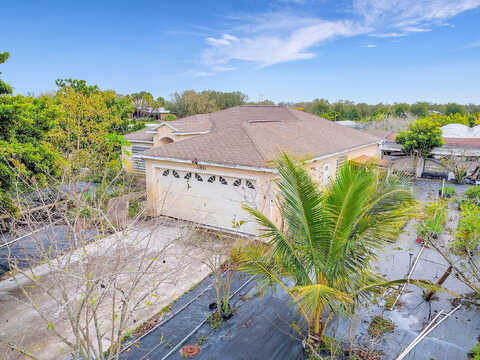 Fox Brown, INDIANTOWN, FL 34956