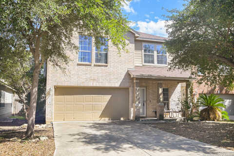 Verbena, HELOTES, TX 78023