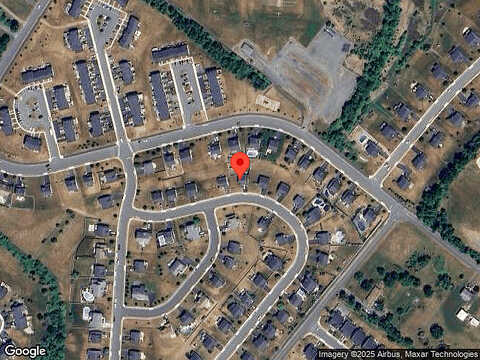 Dove, GILBERTSVILLE, PA 19525