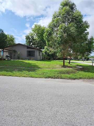 Pinero, SPRING HILL, FL 34608