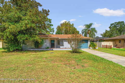 Orion, SPRING HILL, FL 34606