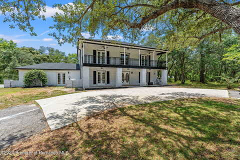 Hexam, WEEKI WACHEE, FL 34613