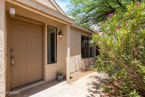 Avenida Obregon, TUCSON, AZ 85746