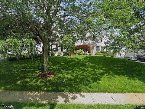 Honey Locust, AVONDALE, PA 19311