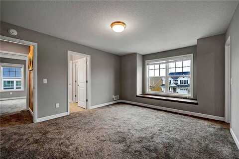 Meadow Rue, HAMEL, MN 55340