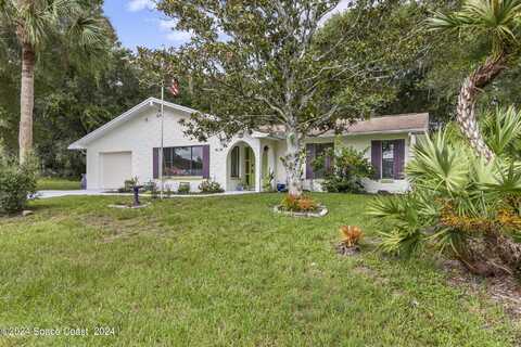 Black Bear, PALM COAST, FL 32137