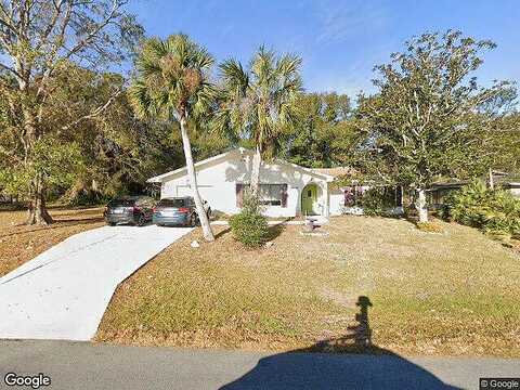 Black Bear, PALM COAST, FL 32137