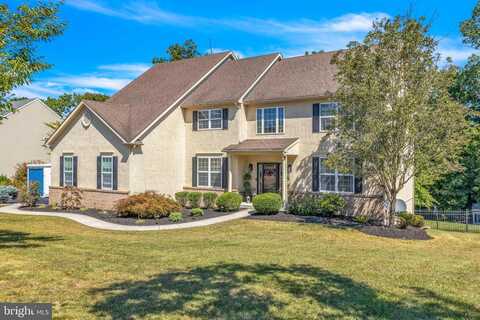Ivy, POTTSTOWN, PA 19464