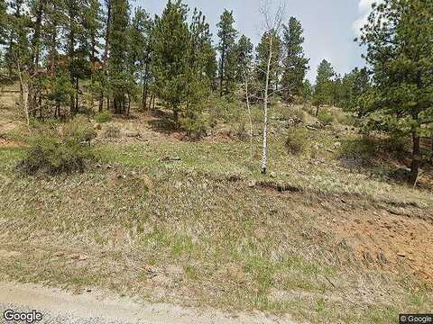 Pine, BAILEY, CO 80421