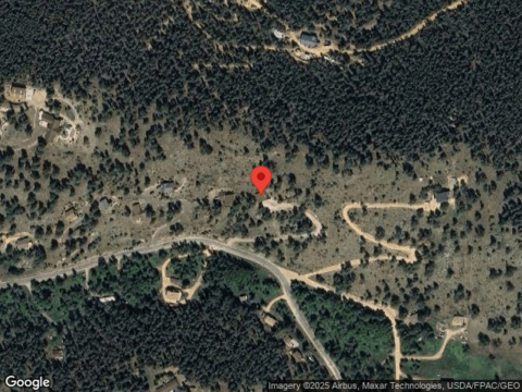 Pine, BAILEY, CO 80421