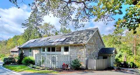 Orchid, EMMAUS, PA 18049