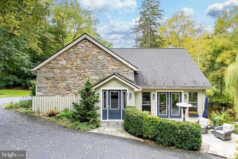 Orchid, EMMAUS, PA 18049