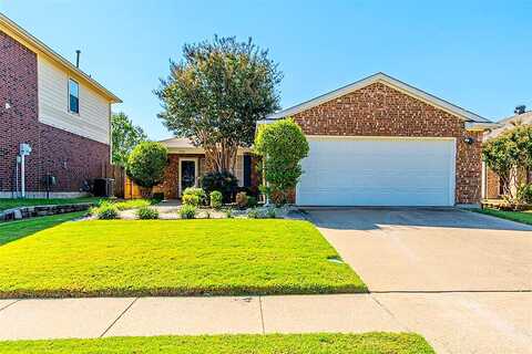 Eagle Mountain, WYLIE, TX 75098