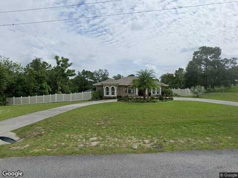 Maximilian, SPRING HILL, FL 34609