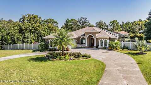 Maximilian, SPRING HILL, FL 34609