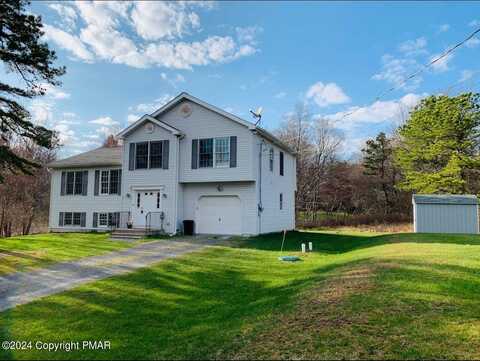 Cinnamon, LONG POND, PA 18334