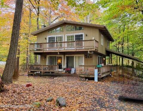 Violet, TOBYHANNA, PA 18466