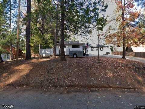 Daisy, POLLOCK PINES, CA 95726