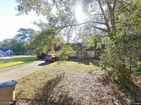 Pelican, RICHMOND HILL, GA 31324