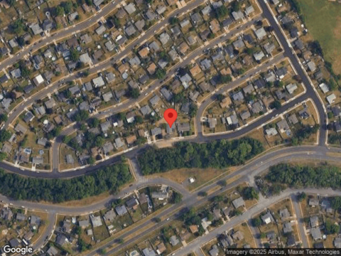 Elderberry, LEVITTOWN, PA 19054