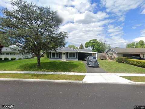 Elderberry, LEVITTOWN, PA 19054
