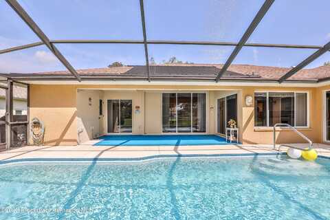 Greenturf, SPRING HILL, FL 34608
