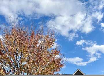 Inman, GROVETOWN, GA 30813