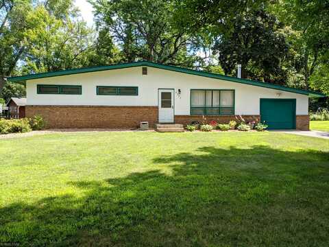 Turtle, SAINT PAUL, MN 55126