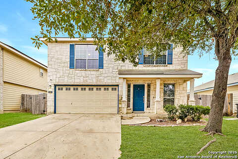 Stable, SAN ANTONIO, TX 78227