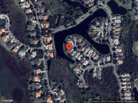 Wild Bird, SAINT AUGUSTINE, FL 32080
