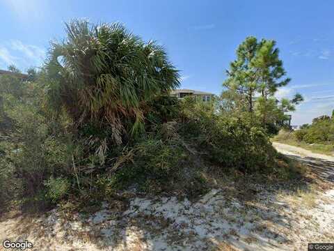 Alligator, PANACEA, FL 32346