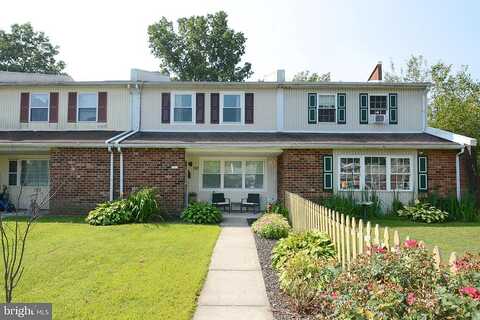 Crocus, QUAKERTOWN, PA 18951