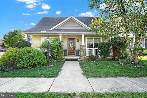 Honeysuckle, MARIETTA, PA 17547