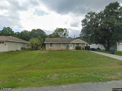Parrot, NORTH PORT, FL 34286