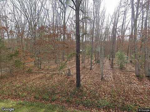 Cowpasture River, MILLBORO, VA 24460