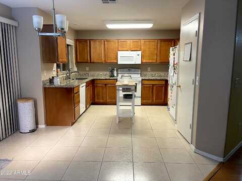 Buffalo, CHANDLER, AZ 85226