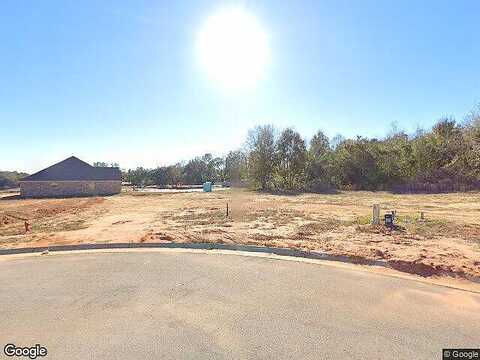 Lady Palm, MILTON, FL 32571