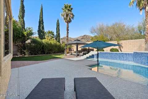 Silver Fox, PHOENIX, AZ 85045
