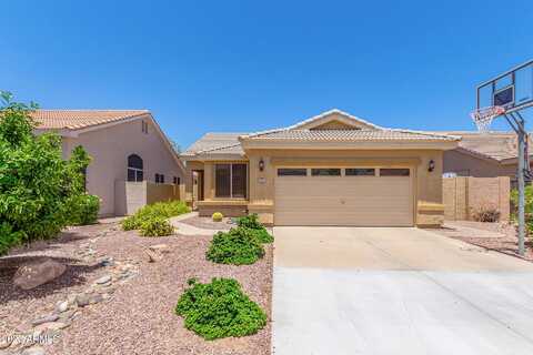 Shannon, CHANDLER, AZ 85225
