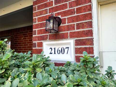 Lovis, HUMBLE, TX 77338
