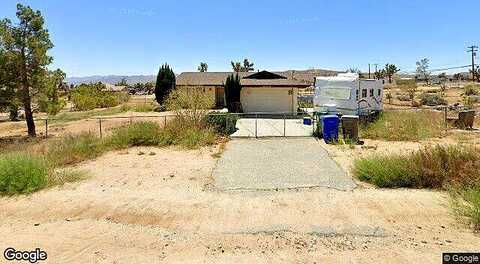 Sunflower, YUCCA VALLEY, CA 92284